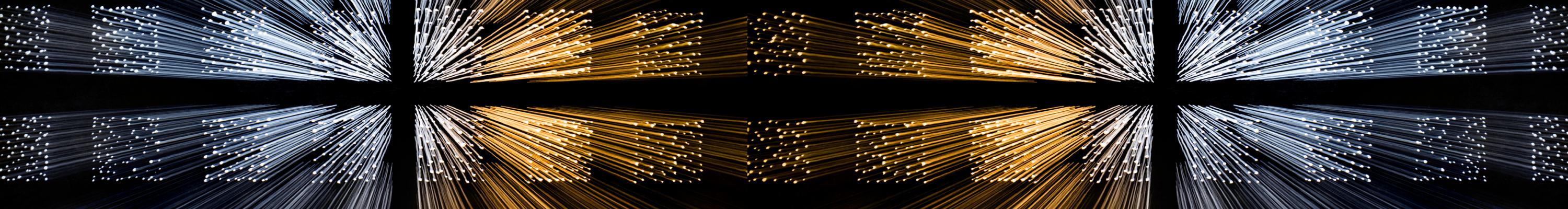 Reference podjetja netik